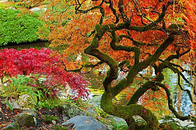 《Bodycam》6月8日开启抢测 虚幻5多人第一人称射击