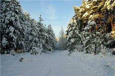 《Umbra Fields》steam页面上线 3D迷宫RPG